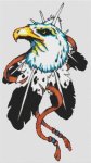 (image for) Eagle Feathers